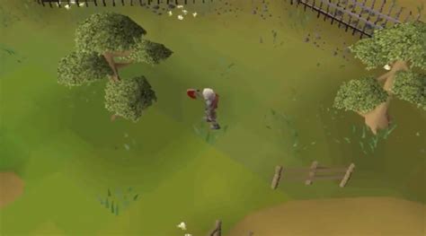 Players must solve the challenge scroll in order to advance in their Treasure Trail. . Yew logs osrs